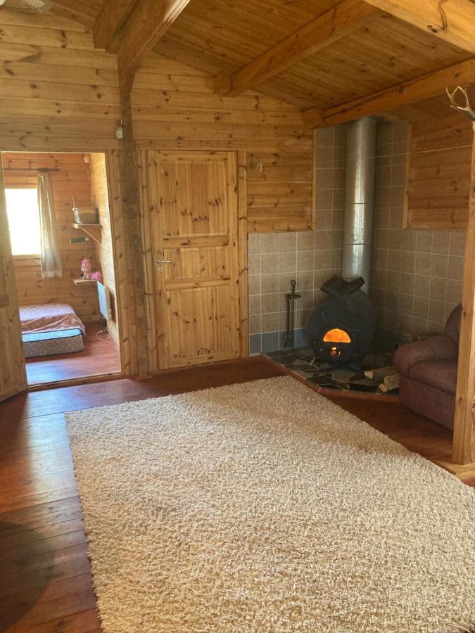 Villa Pikkjaerve Puhkemaja à Tilsi Extérieur photo