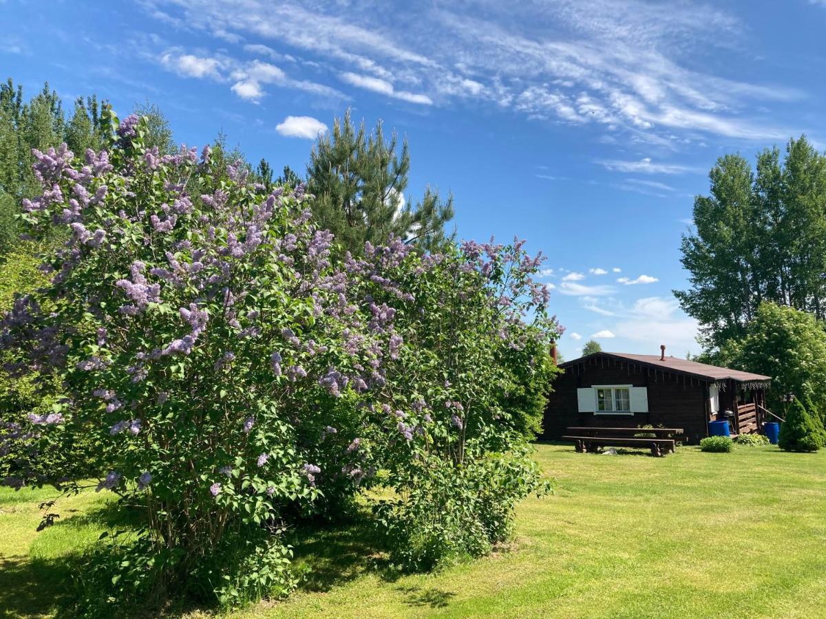 Villa Pikkjaerve Puhkemaja à Tilsi Extérieur photo